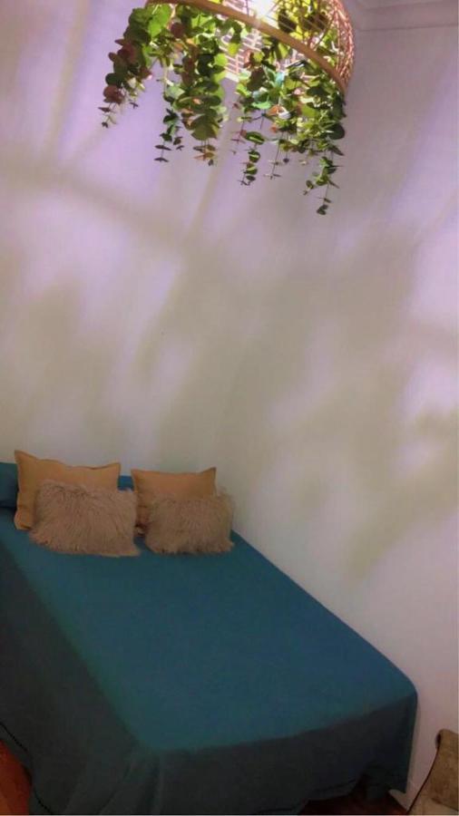 Habitaciones Centro바야돌리드 외부 사진